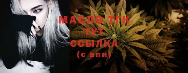 шишки Белокуриха