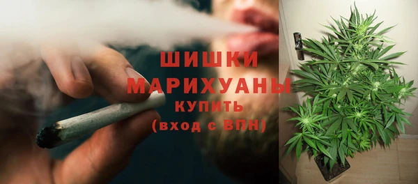 шишки Белокуриха
