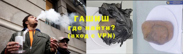шишки Белокуриха