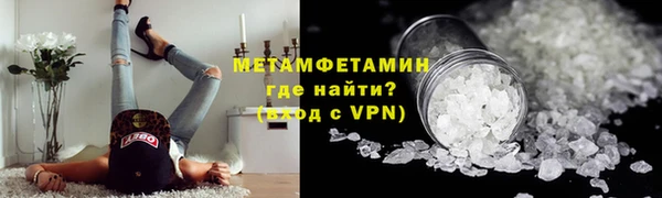 шишки Белокуриха