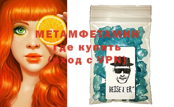 шишки Белокуриха