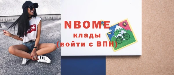 шишки Белокуриха
