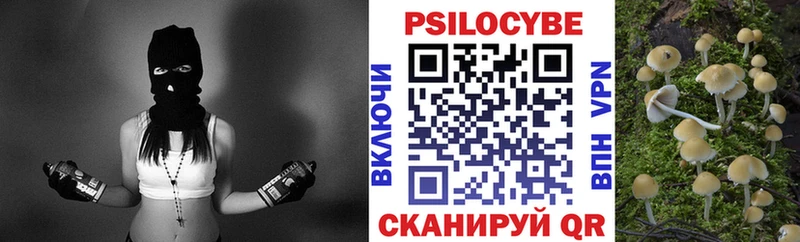 Псилоцибиновые грибы Psilocybine cubensis Бутурлиновка